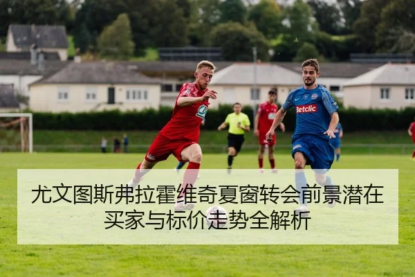 img_1781376173220_502_1_979.jpg